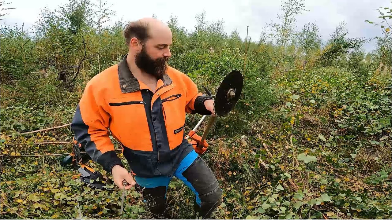 Metsään on tullut jo syys