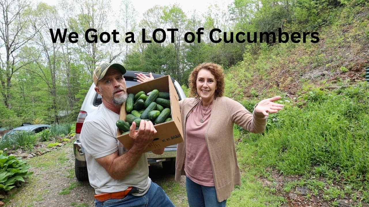 Unusual Grocery Trip