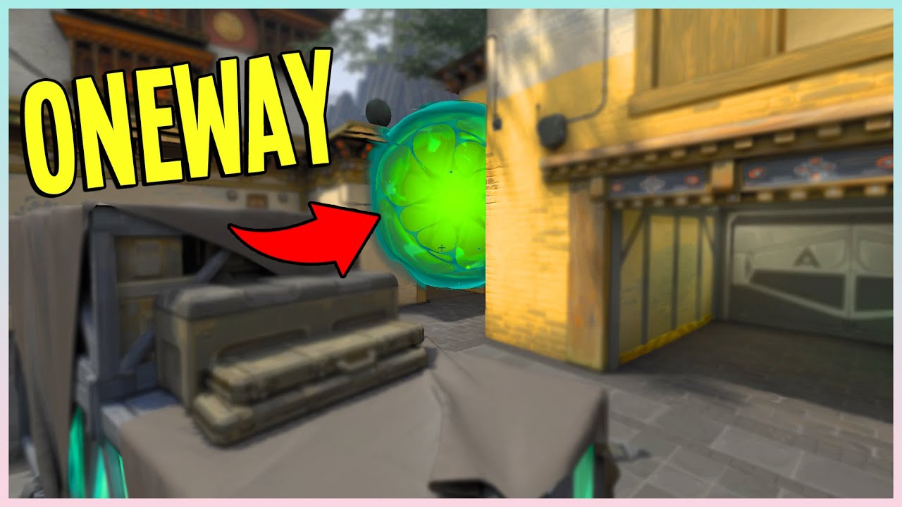 Viper CT Oneway | Haven A