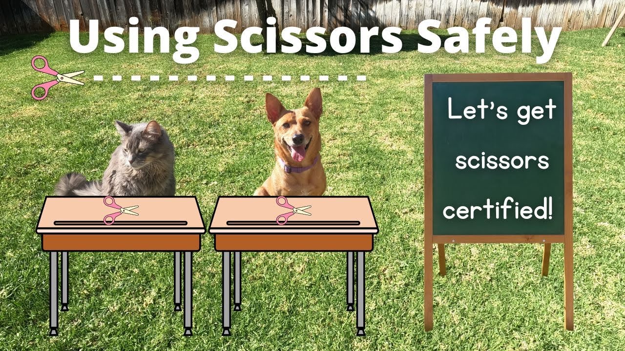 Professor Ginger and Axle get Scissors Certified - Classroom Rules - Using Scissors Safely