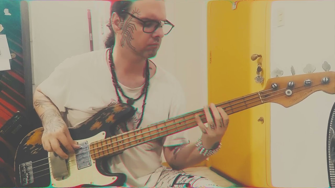 Raul Seixas - Metamorfose Ambulante // BASS COVER