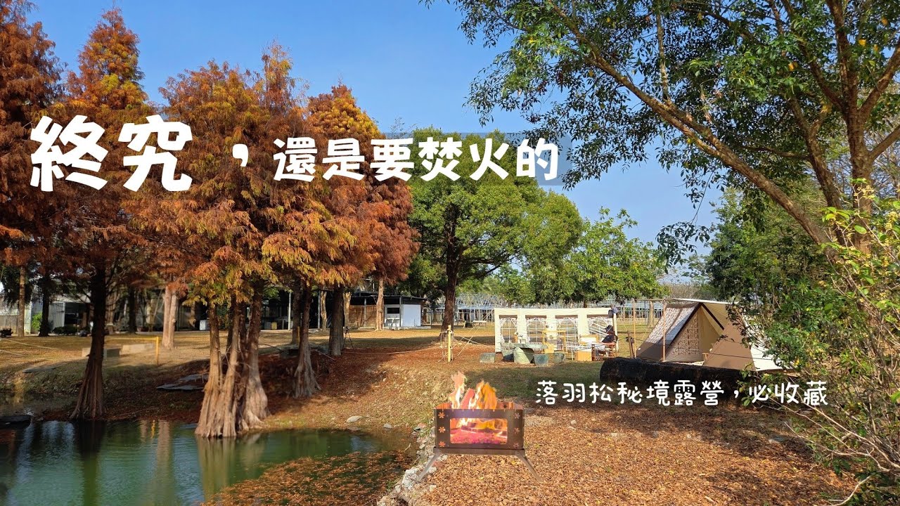 史上最快二訪露營區｜落羽松湖畔露營，把遺憾交給焚火 🔥