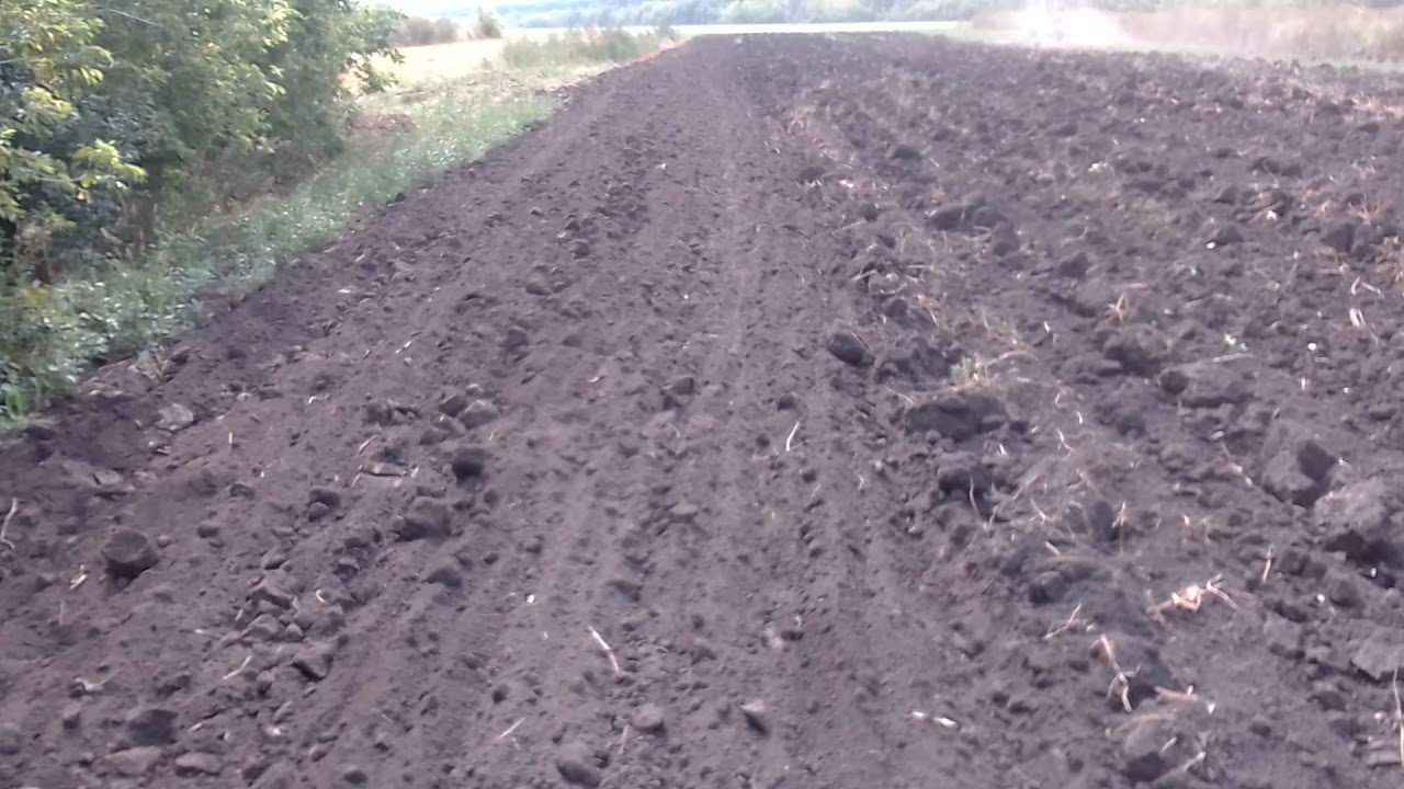 т150 с дискатором на огороде Еле взял