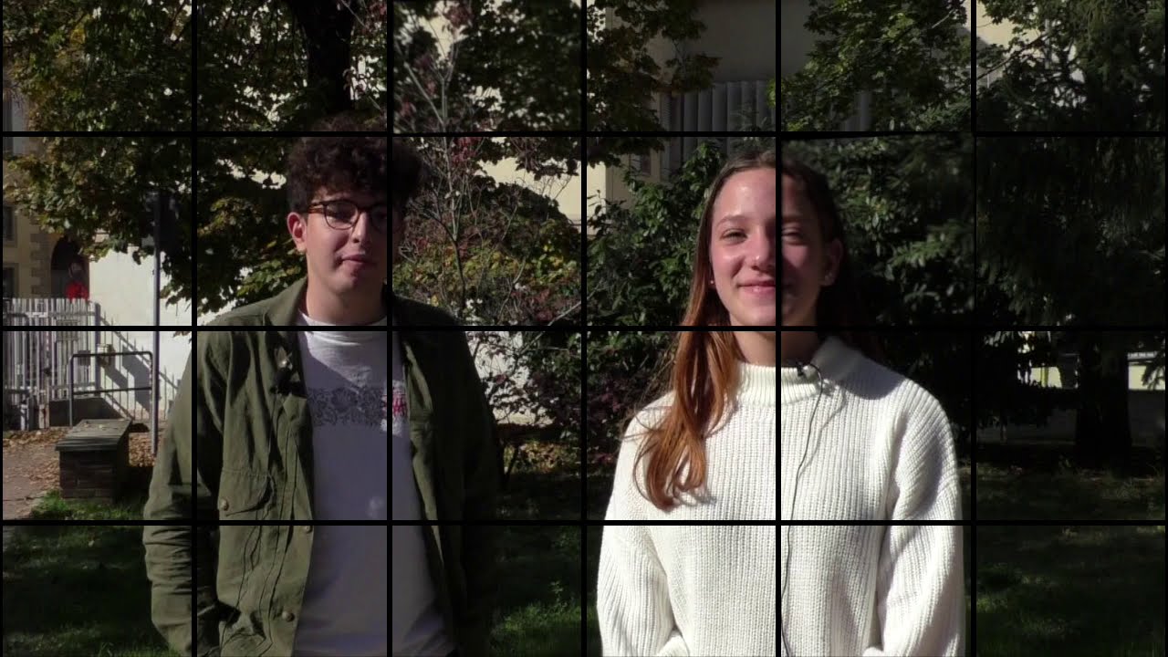 Liceo Aselli (CR) - Video presentazione