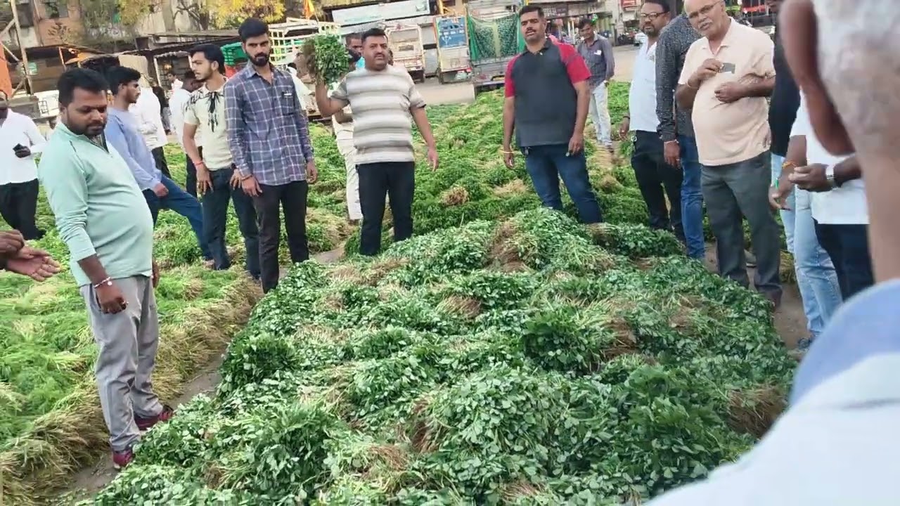 28 फेब्रुवारी नाशिक कृषि उत्पन्न बाजार समिती बाजारभाव 