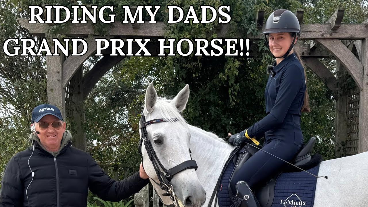 Верхом на выездковой лошади Гран-при моего отца | Lusitano Power 😍🔥