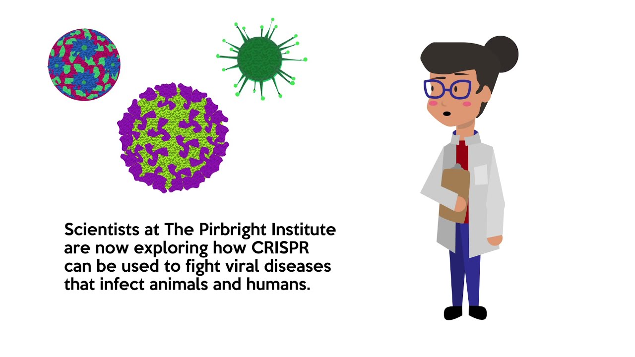 Using CRISPR at Pirbright