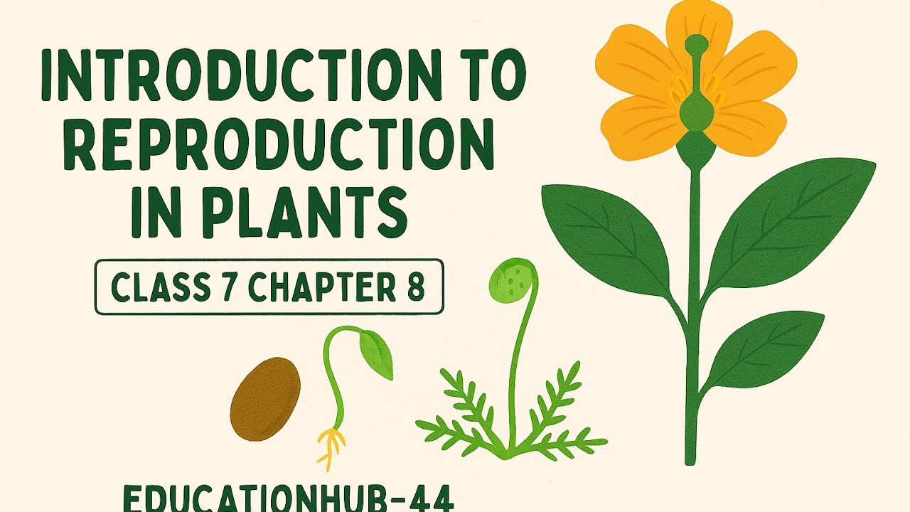 Introduction to Reproduction in Plants | Class 7 Science Chapter 8 | EducationHub-44