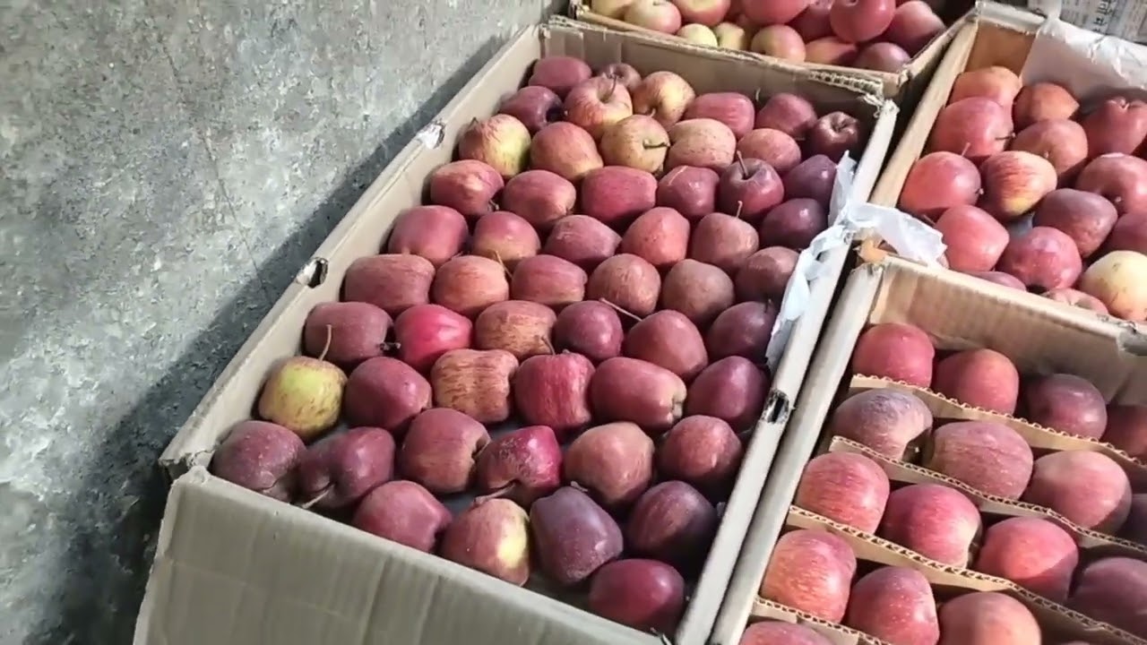 Fruit 🍓 market in christmas ⛄