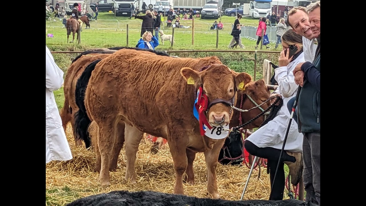 Stokesley Show 2024