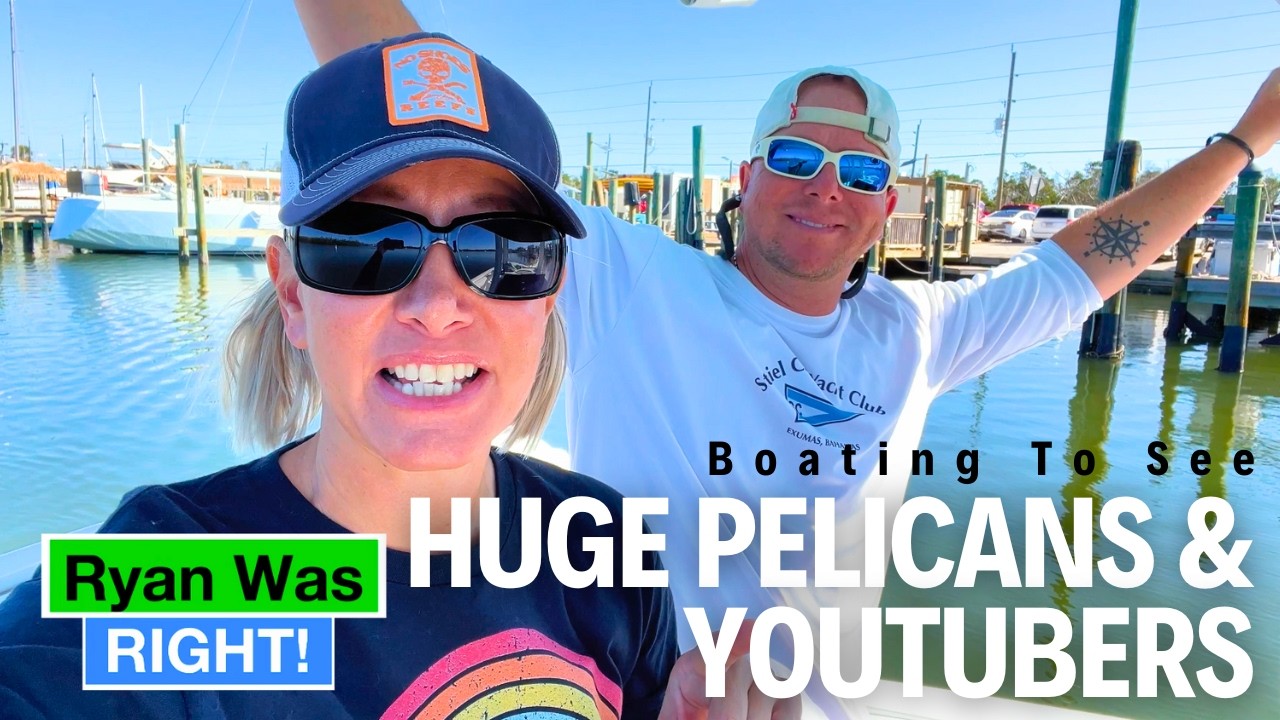 Boating To See Massive White Pelicans and Meet Local YouTubers