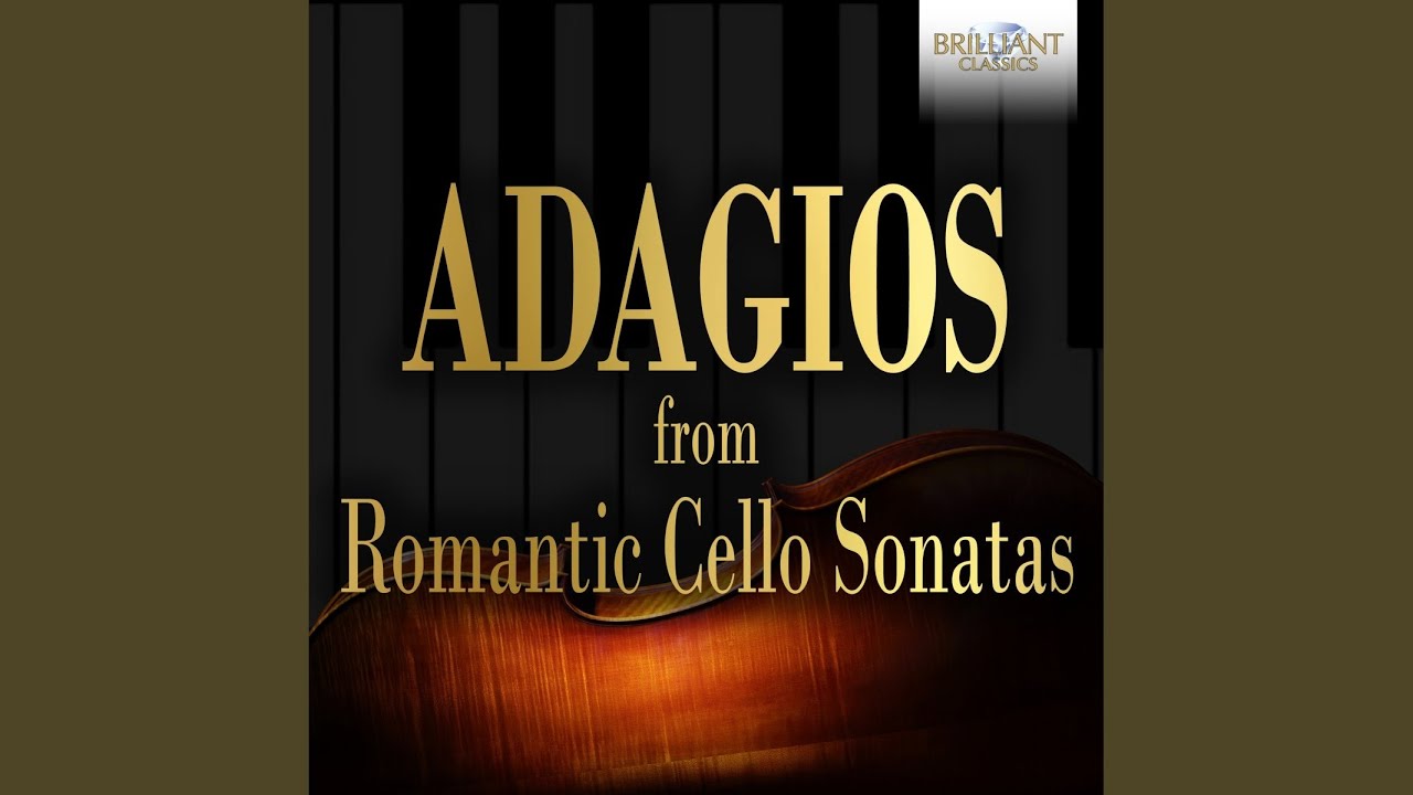 Cello Sonata, Op. 28: II. Andante un poco maestoso
