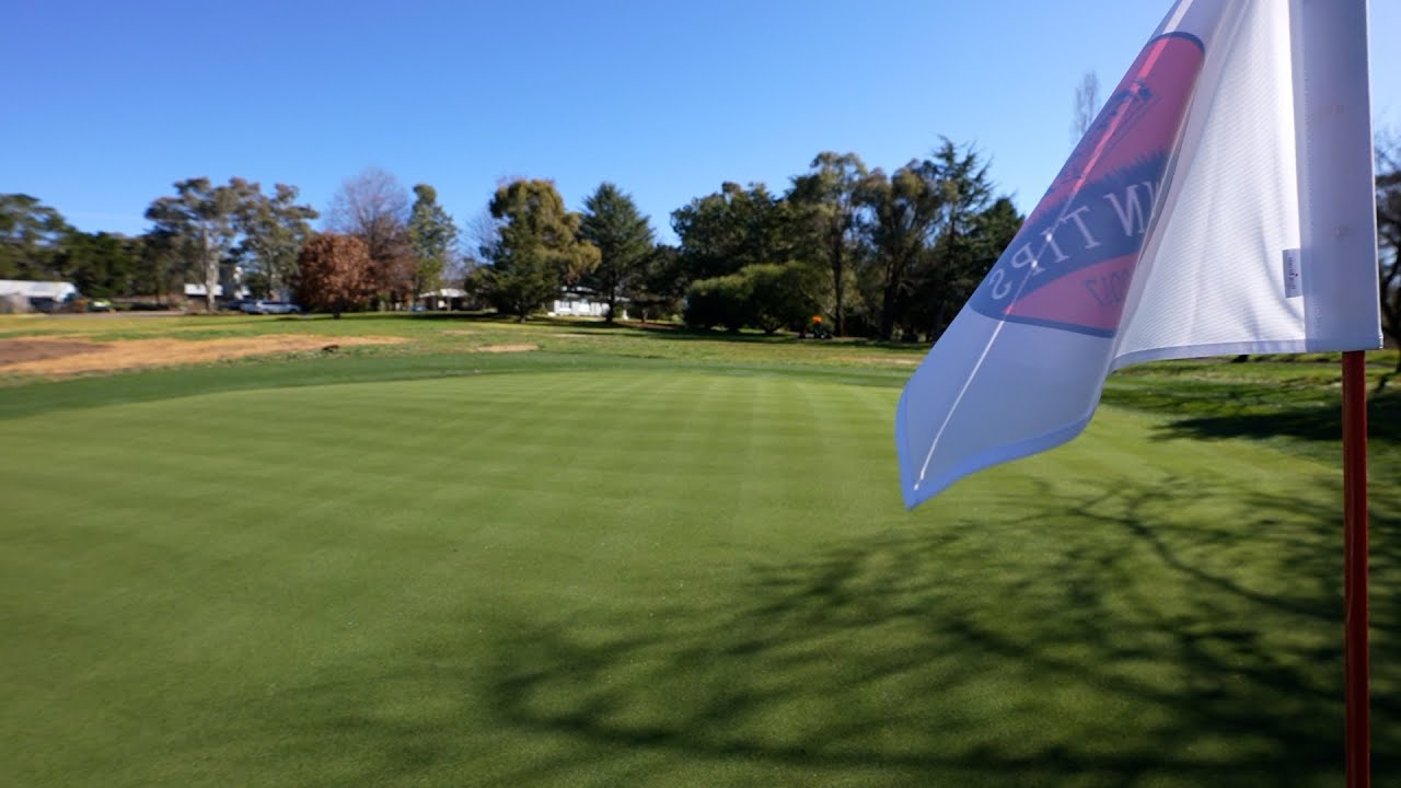 REAL GRASS Golf Green Build in my Backyard