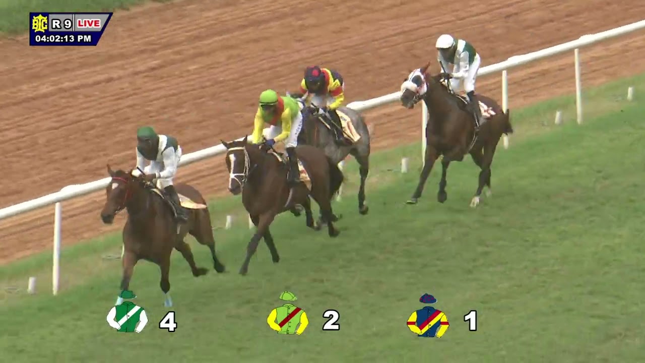 DYF: THE BANGALORE ST.LEGER (GRADE II)(102)