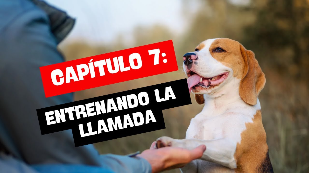 Entrenando la Llamada