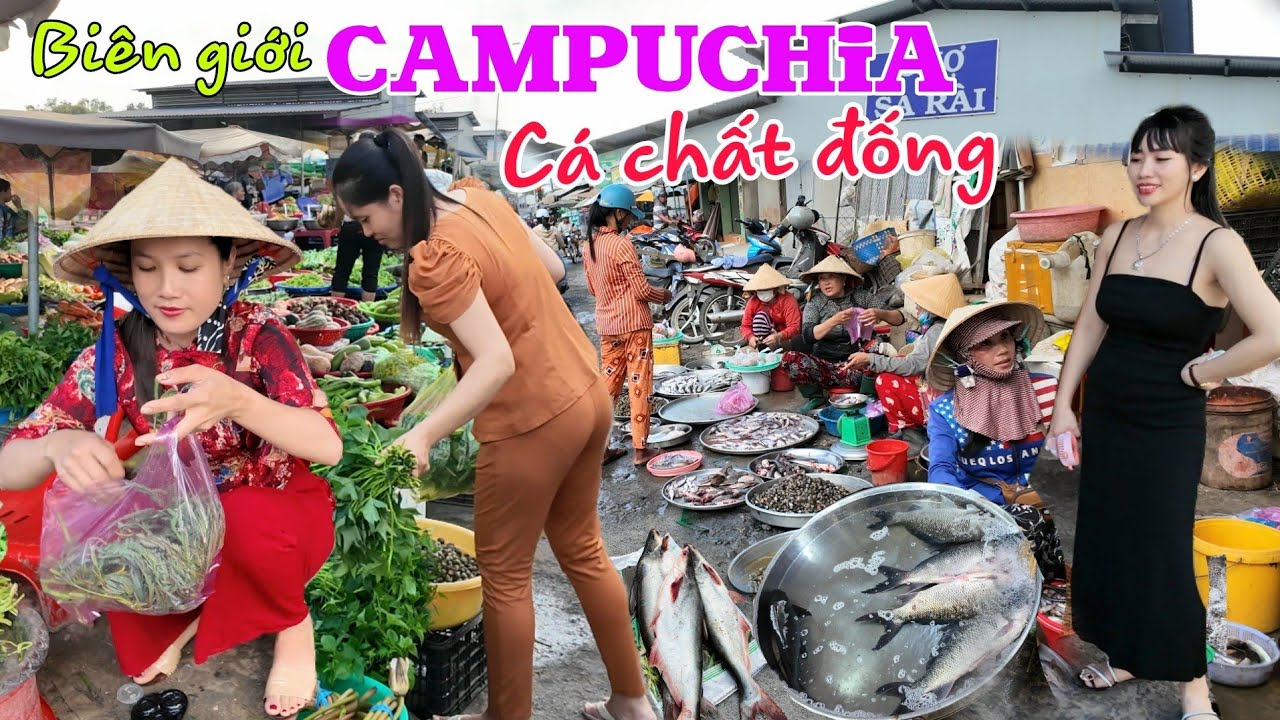 Khô hạn nguy cơ hết cá Biên Giới Campuchia - Cô bán rau dễ thương chợ Sa Rài Tân Hồng