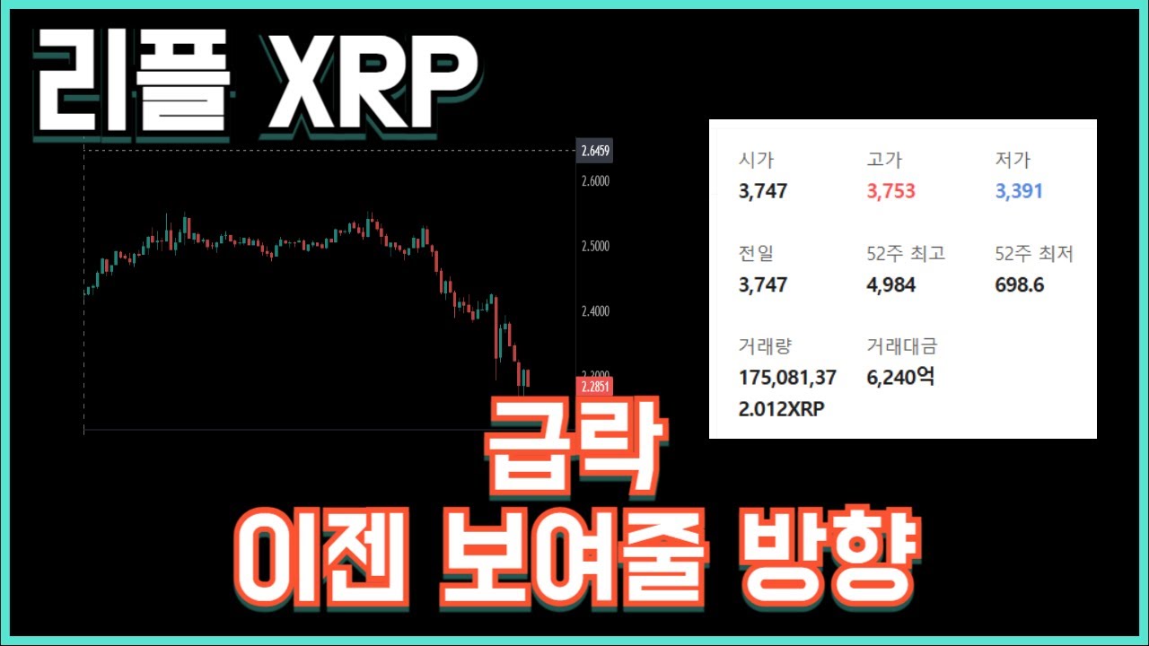 리플 XRP 급락 이젠 보여줄 방향