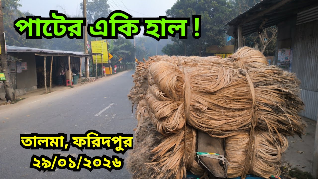 29.01.2026 পা‌টের ব্যাপক পরিবর্তন !  Jute Price Today | pater bazar| Faridpur.