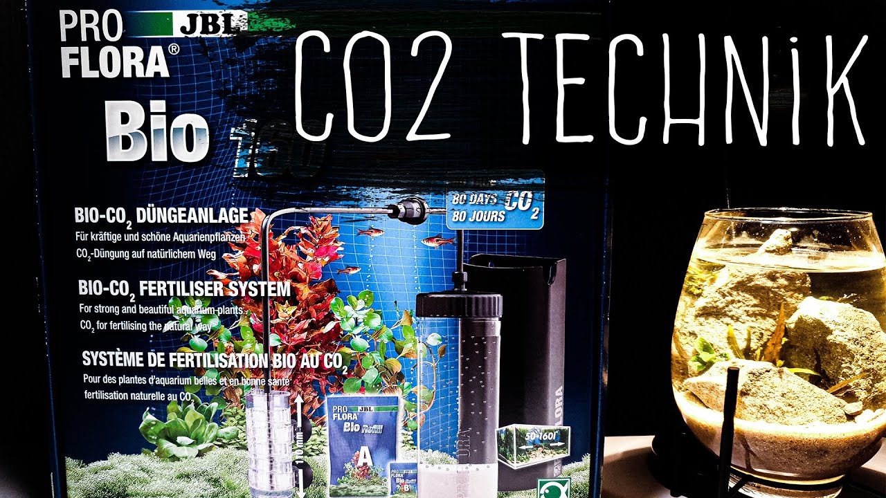 Aufbau einer CO2 Anlage & JBL Bio 160