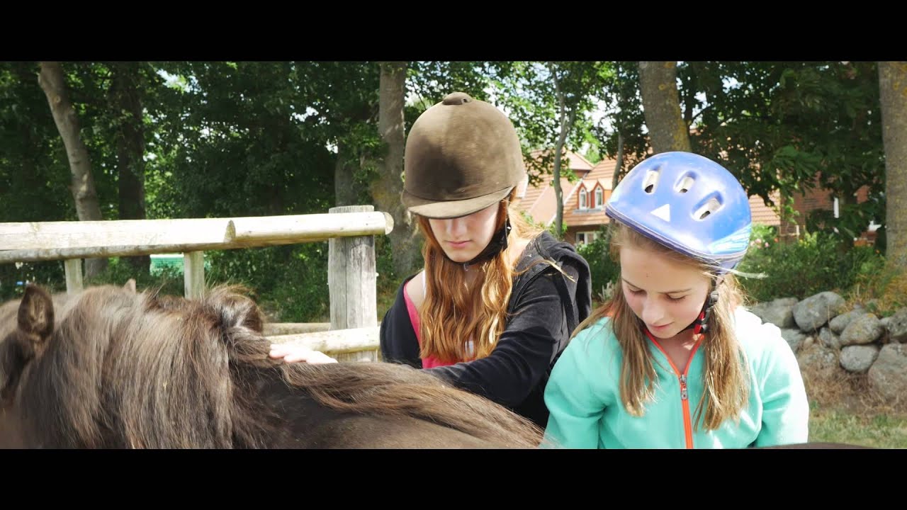 Ferienbauernhof Mau auf Fehmarn - machen Sie Urlaub an der Ostsee!