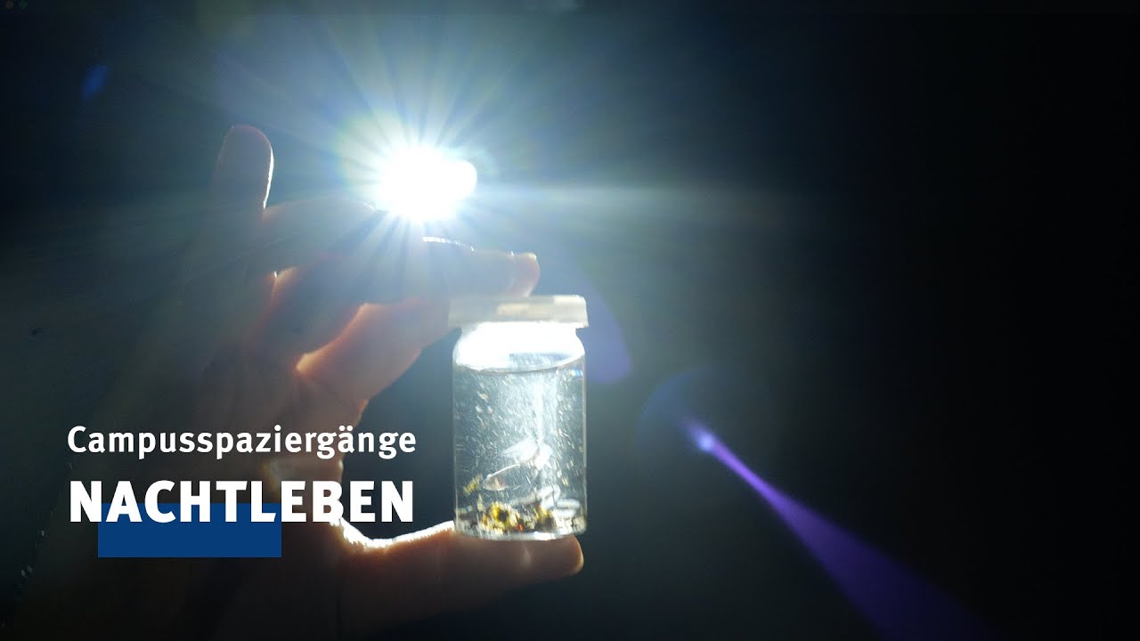 Unterwegs mit Studierenden der Biologie | REKLINEU