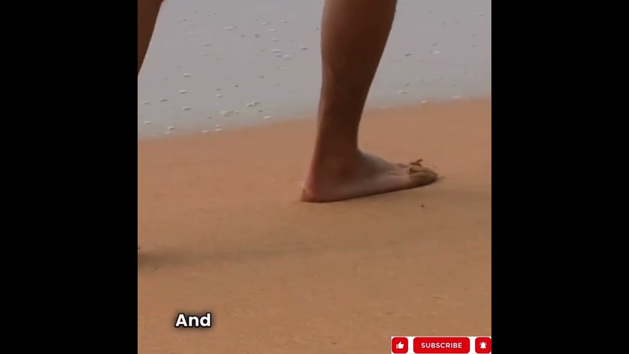 Reconnect with Nature Barefoot!#BarefootWalking #Grounding #SimpleJoys #FootHealth #FeelGreat #Earth