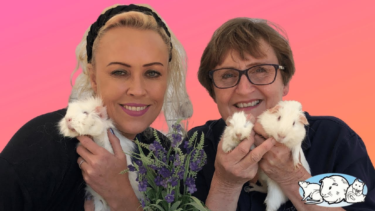 Rescue Stories with Saskia from LA Guinea Pig Rescue