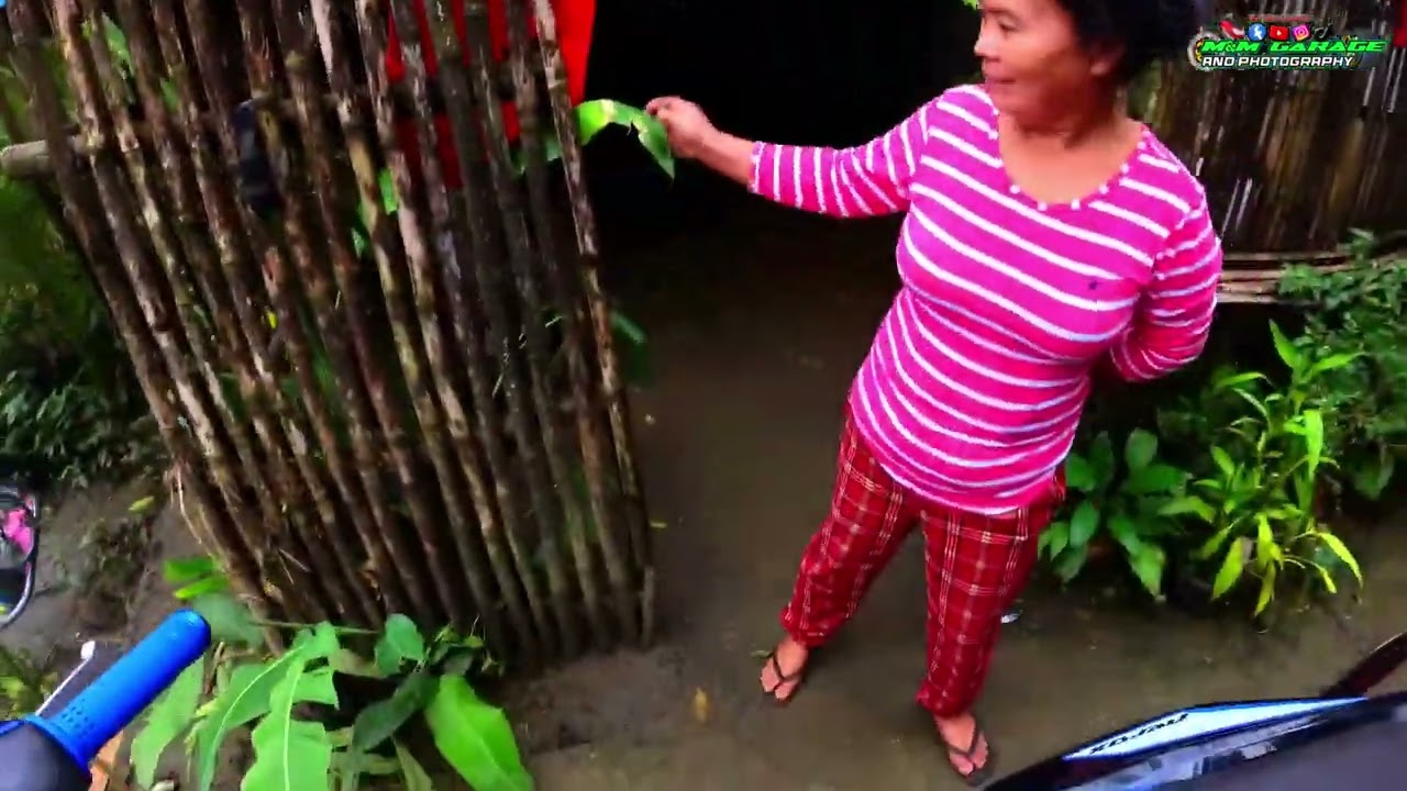 Brgy. Panugmonon Basey, Samar | Live View