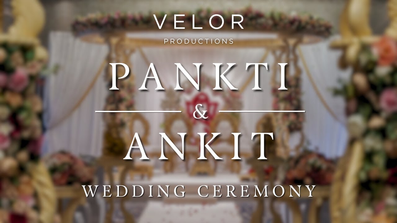🔴 Pankti & Ankit's Wedding | VELOR PRODUCTIONS