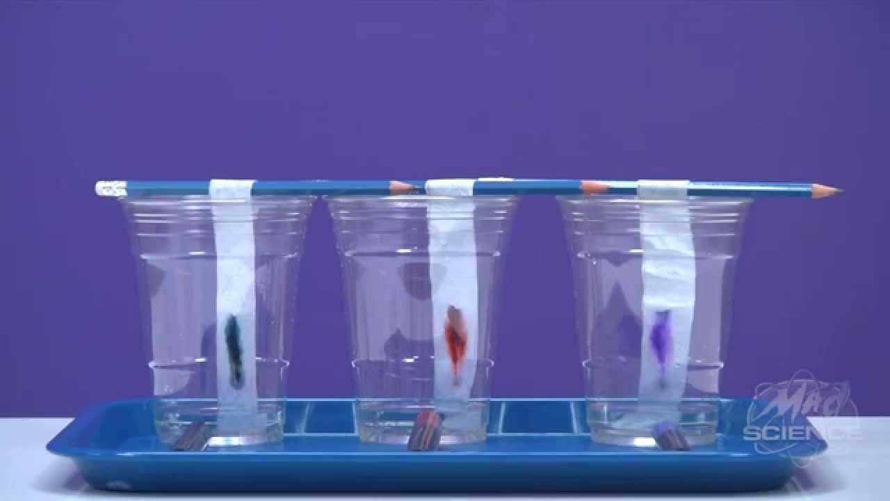 Ink Chromatography at Home - Mad Science
