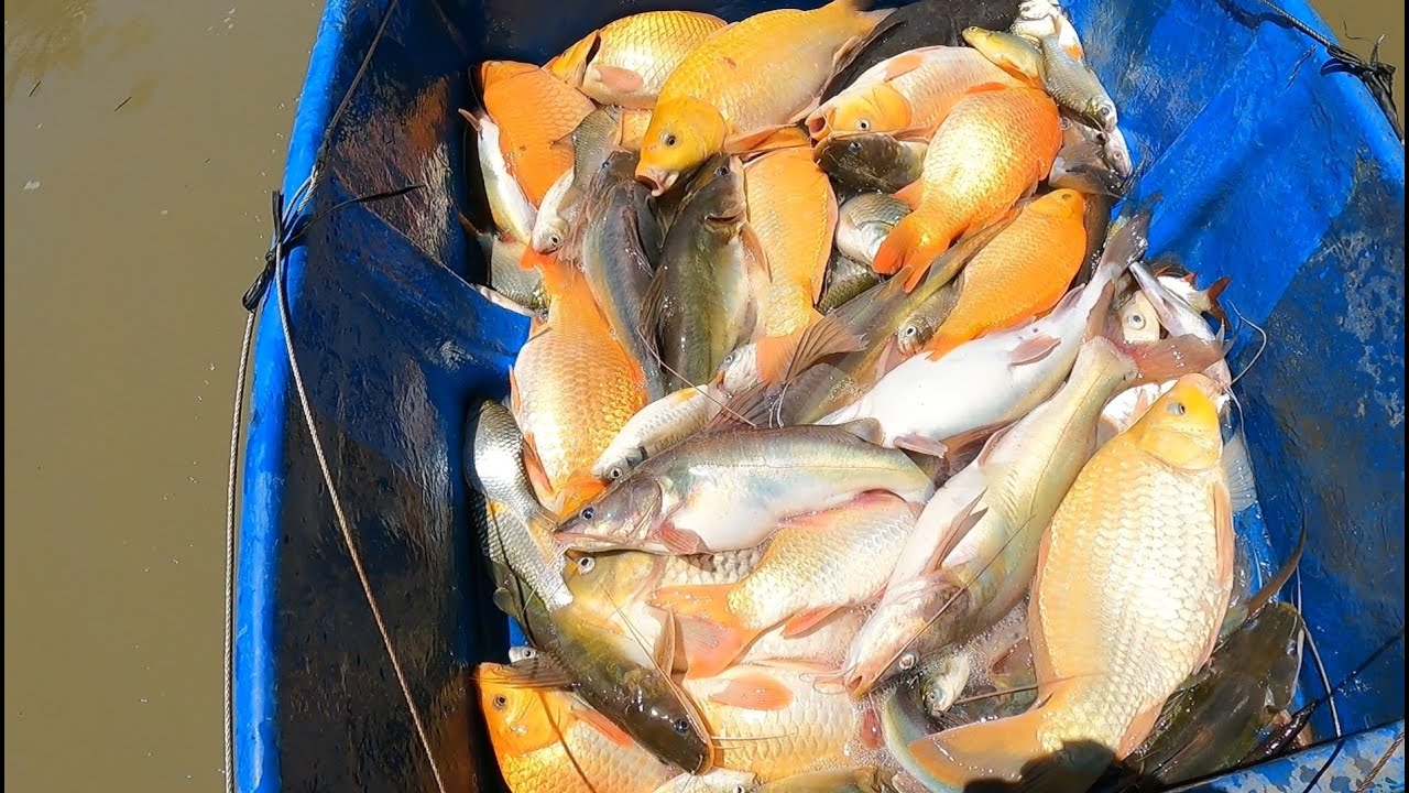 56f 24vol anh luân ở đức huệ long an // Phong68