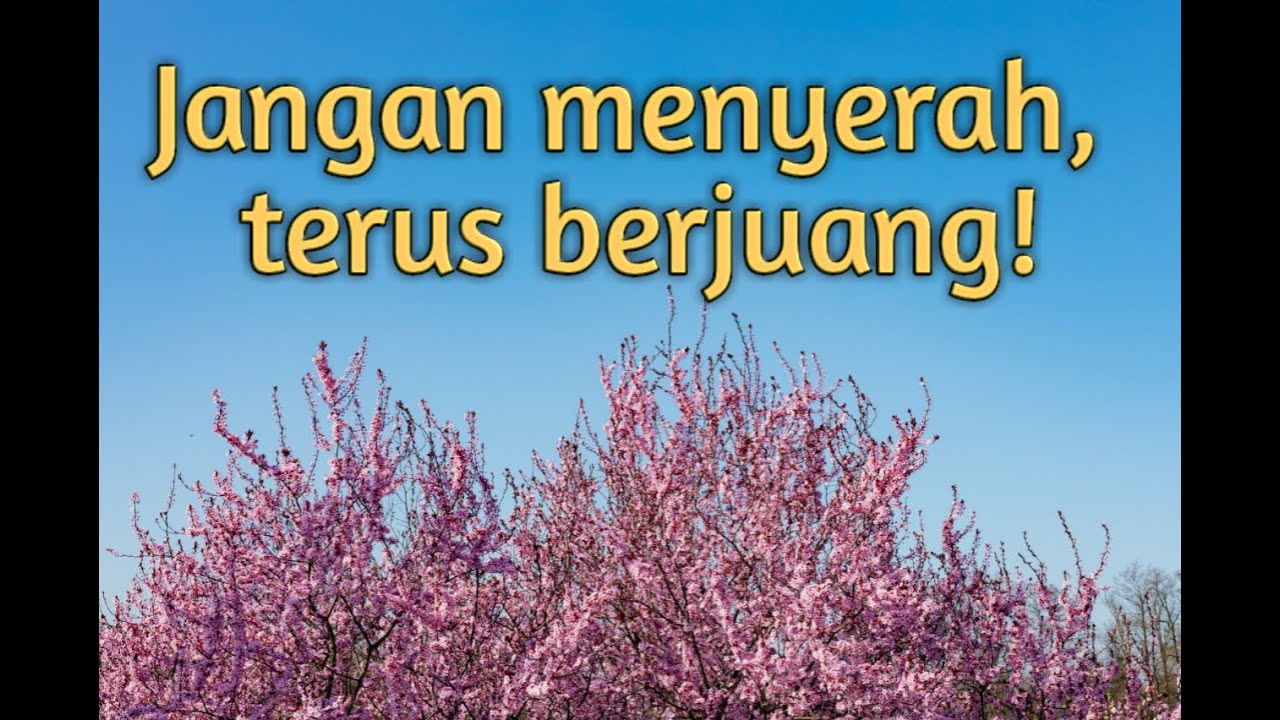 Kisah Mengharukan | Jatuh dan terpuruk | Pantang menyerah