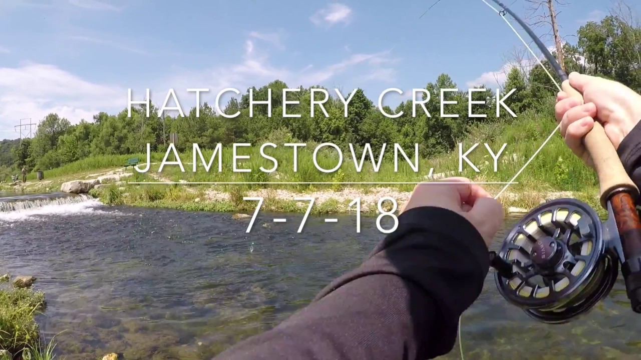 Fly Fishing Hatchery Creek KY
