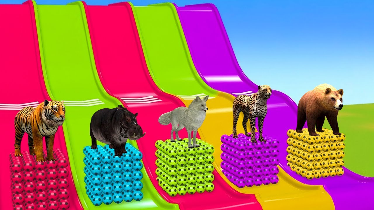 Playing as Spiderman in Massive Long Slide Game with Cow Elephant Gorilla- 3d Animal Game - Funny 3d