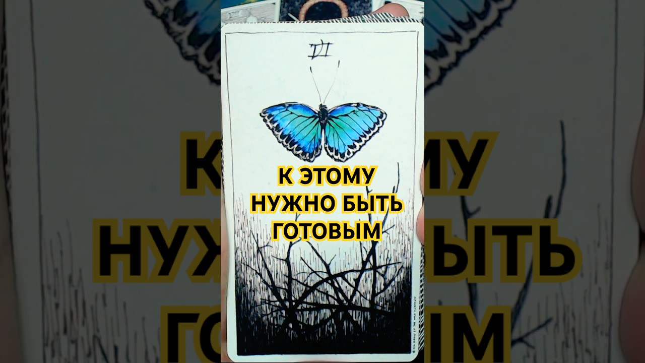 ❗️Вам Важно Услышать Это Сегодня 🌗✨ Гадание Таро