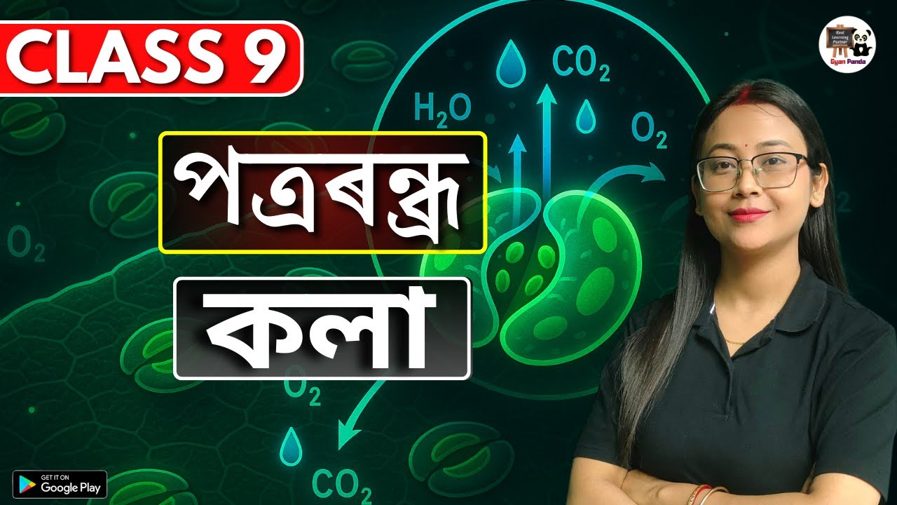 Class 9 Science | পত্ৰৰন্ধ্ৰ | কলা | SEBA/ASSEB | IX | Assamese Medium
