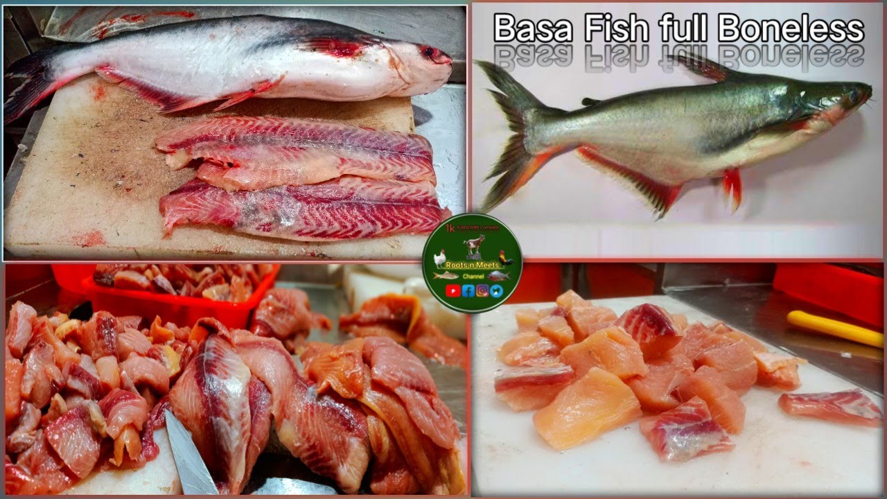 How To Cut Skill Best Basa Fish Boneless