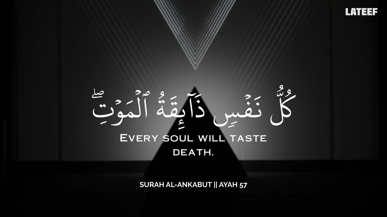 رح سمعك وقلبك بالقرآن❤️🎧 وأستمع لتلاوة هادئه بصوت محمد هشام | راحة نفسية😌 | Mohamed Hesham