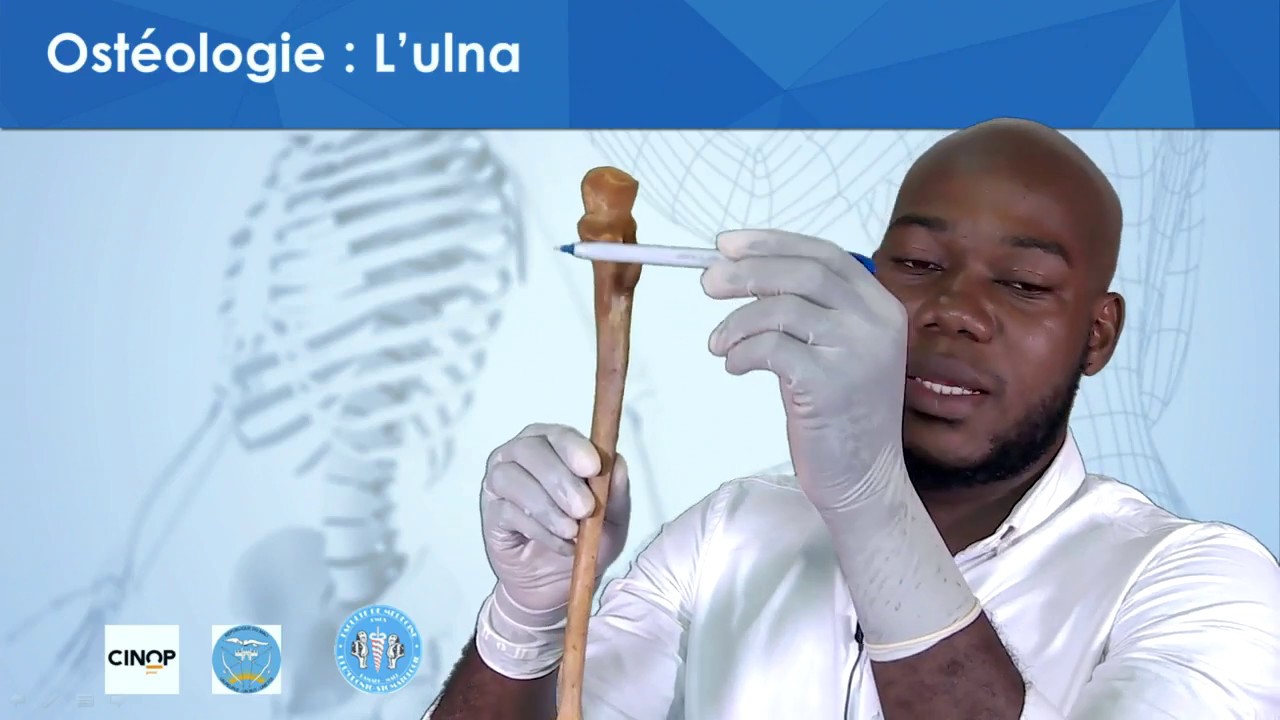 Ostéologie : L'ulma expliqué avec un os humain