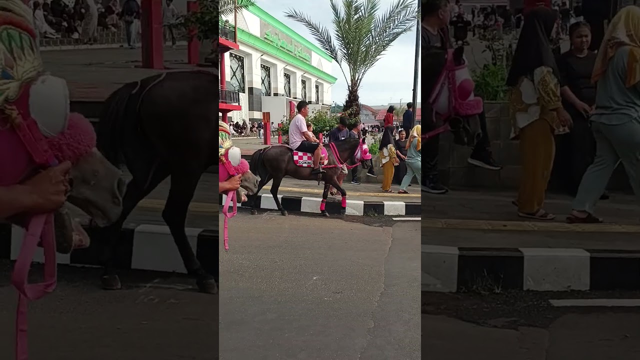 ASYIK NAIK KUDA DI TAMAN KOTA KUNINGAN BRE 