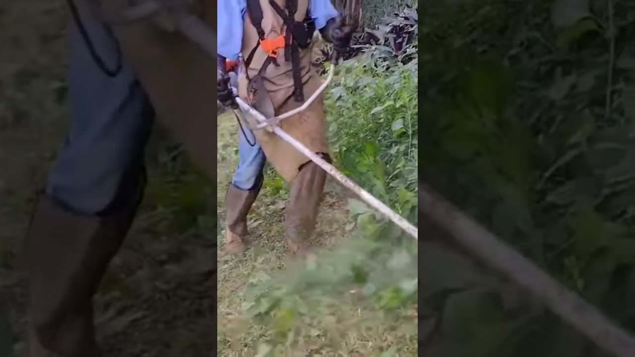 ro&ccedil;ando matos com nylon 2.5 mm  #ro&ccedil;adeira #Stihl FS 160 #jardineiro