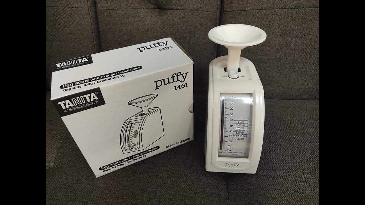 paano ang pag presyo at pag size SA itlog