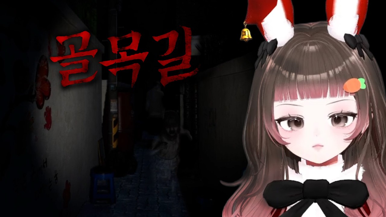 골목길이랑 눈싸움하는 개쫄보