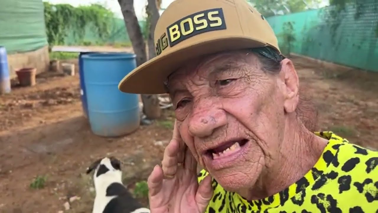 Se hará una Palapa en el chiquero