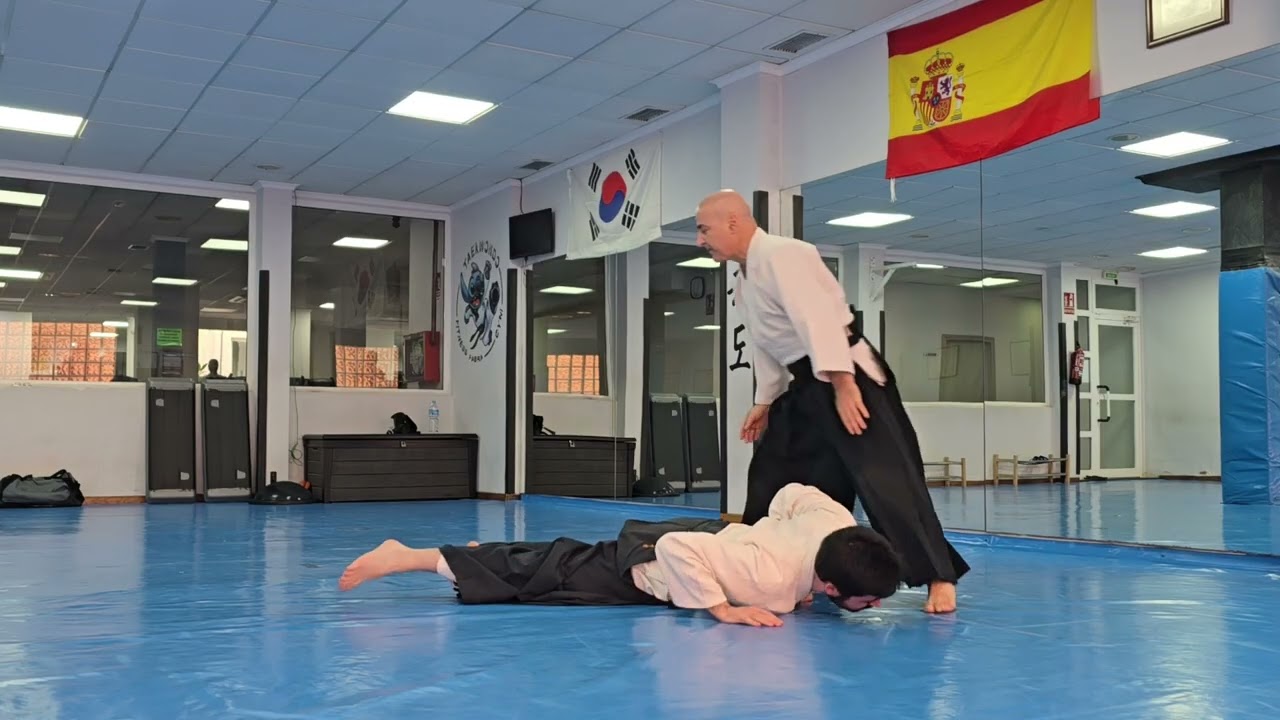 Aikido Sevilleja. Kata Dori: Ude Garami Omote. Explicación detallada.