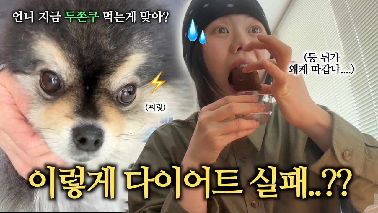 ❄️ 2월 다이어트 VLOG 시작부터 삐걱 삐걱...🫠 품절대란 세븐일레븐 두쫀쿠와 다이소 VT PDRN 토너 후기🔥 (feat.구독자 이벤트 있음♥)