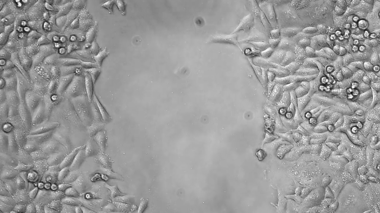 With target molecule 1 suppressed