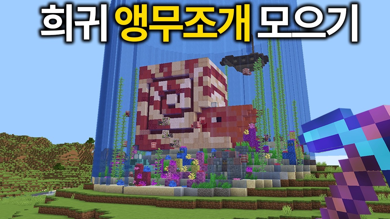야생에서 가장 희귀한 앵무조개 모으기