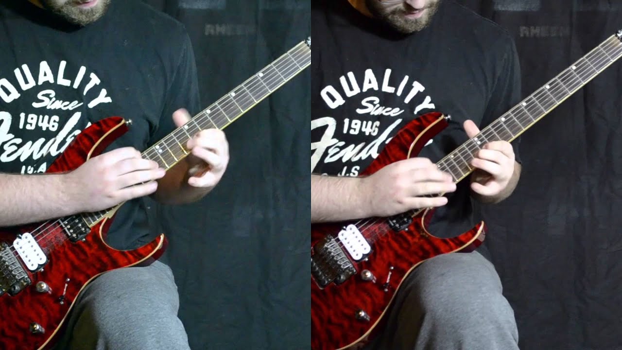 Rogers - Protest the Hero - Clarity (Dual Guitar Cover)