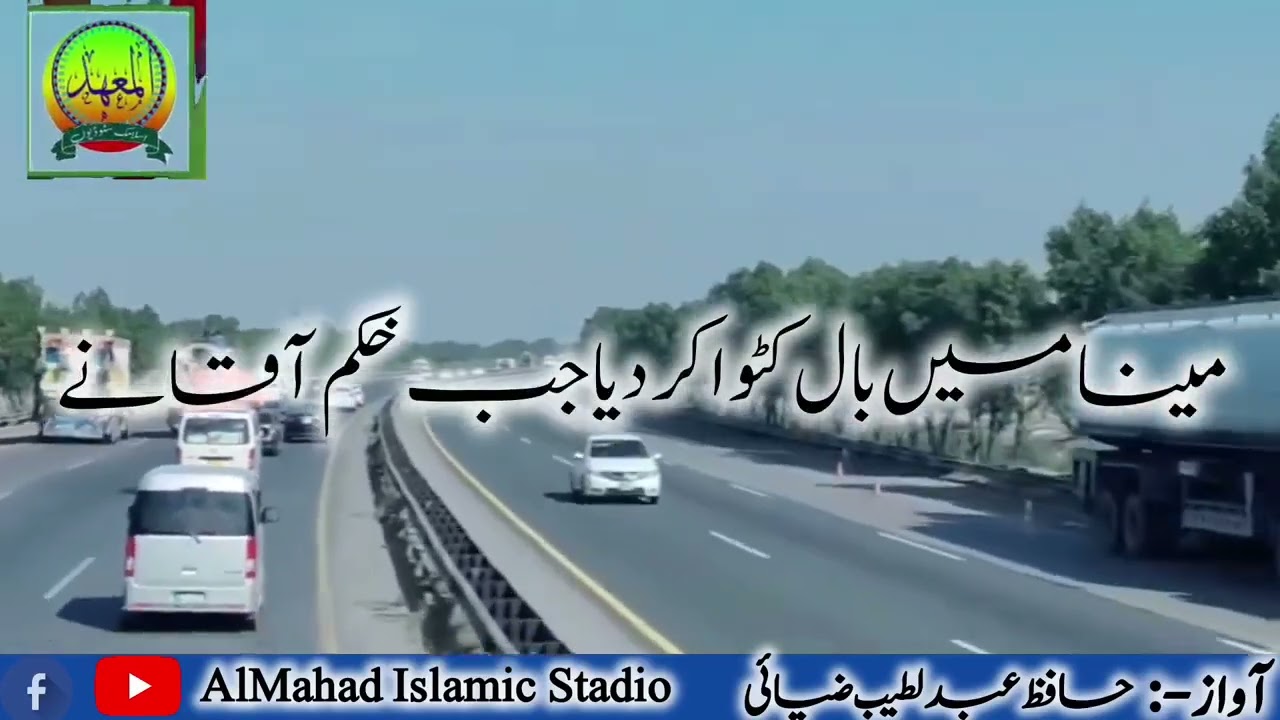 میرے معبود کو پیارے میرے سرکار کے گیسو(حافظ عبٰد الطیب ضیائی حفظہ اللہ)